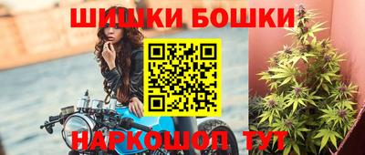 стафф Шелехов