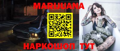 стафф Шелехов