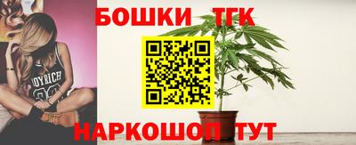 стафф Шелехов