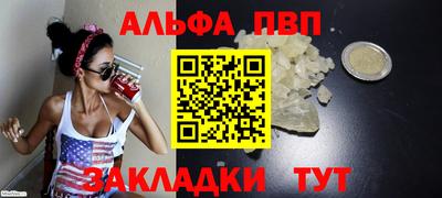стафф Шелехов