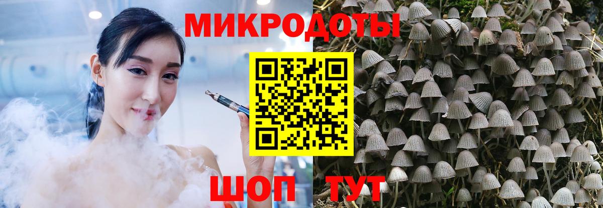 Псилоцибиновые грибы прущие грибы Лысьва