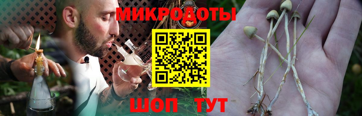 Лысьва  Псилоцибиновые грибы Psilocybine cubensis  Вход с VPN 